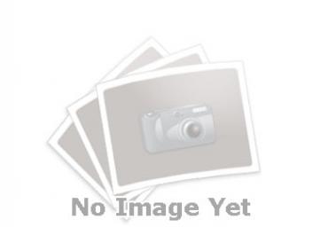 VST_Chorleiter STV Gritsch